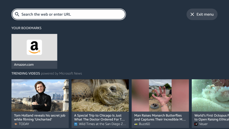 Launch the Silk Browser and click the search box.
