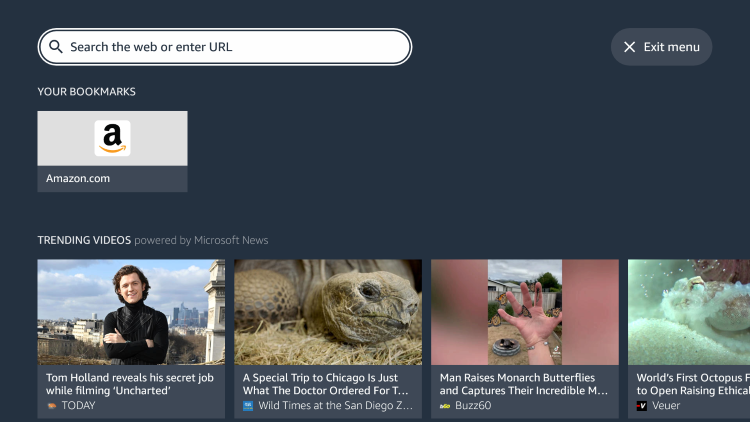 Launch the Silk Browser and click the search box.